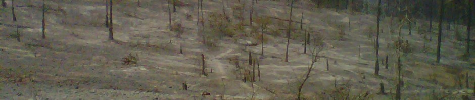 Effects of Drought